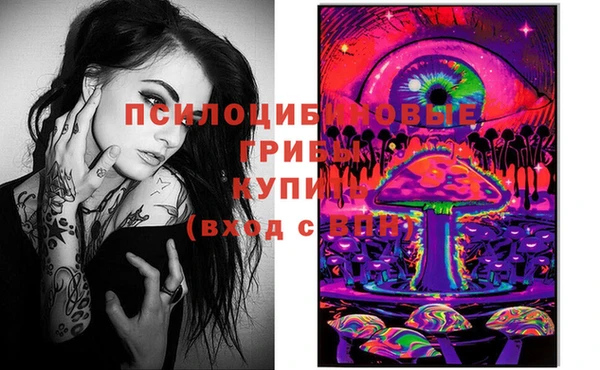 бошки Красноперекопск