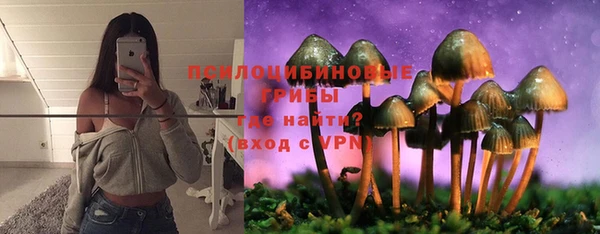 мяу мяу мука Краснослободск