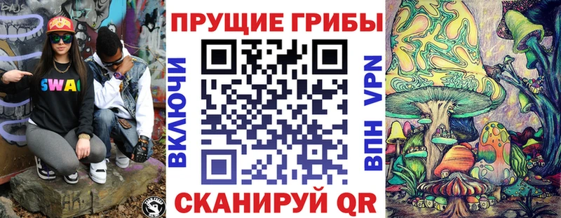 Купить где Амурск Галлюциногенные грибы GOLDEN TEACHER